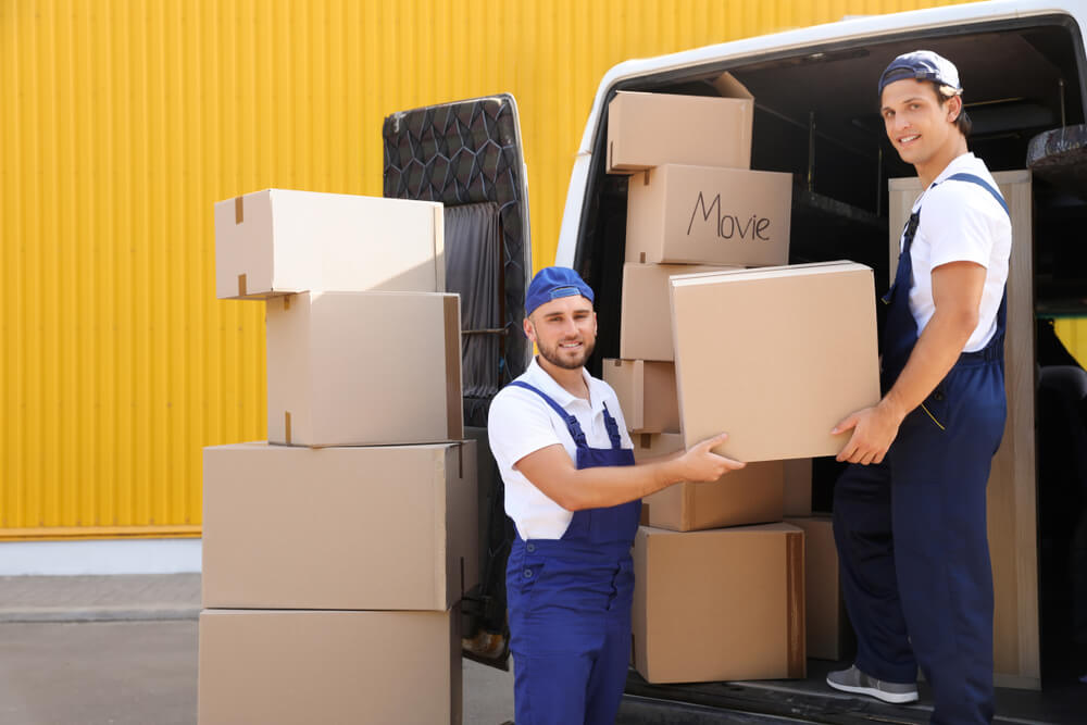 Professional Movers Mesa